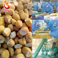 IQF Chestnuts Frozen Chestnut Kernel for sale